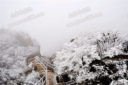 广东也可看银装素裹的雪景 精密检测治具公司小编也赞叹不已